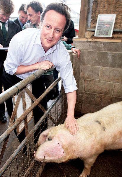 Archivo:David Cameron pig.jpg