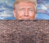 Donald-trump-wall.jpg