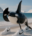Orca a la moda