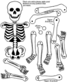 Un esqueleto, ya que los huesos humanos son difíciles de conseguir en cualquier tienda, con uno de cartón basta;