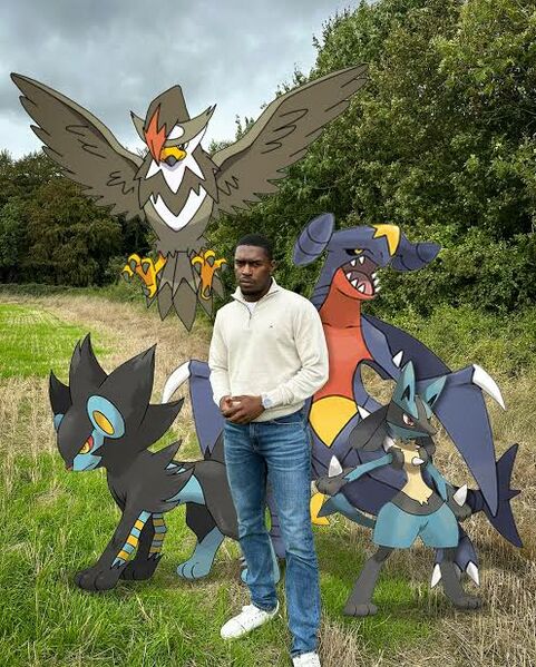 Archivo:Sinnoh team.jpeg