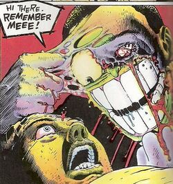 The mask remember me.jpg