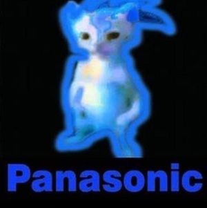 Panasonic-miguel.jpg