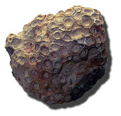 Coral (?) yo diría que es un meteorito, pero bueno, no soy físico teórico.