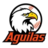 Águilas del Zulia 2024-presente.webp
