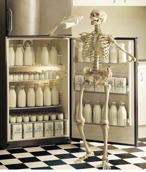Archivo:Esqueleto con leche.jpg