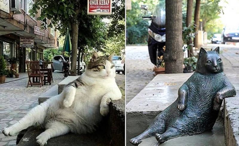 Archivo:Gato estatua Turquía.jpg