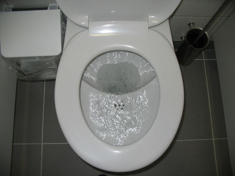 Archivo:Toilet during flushing.jpg