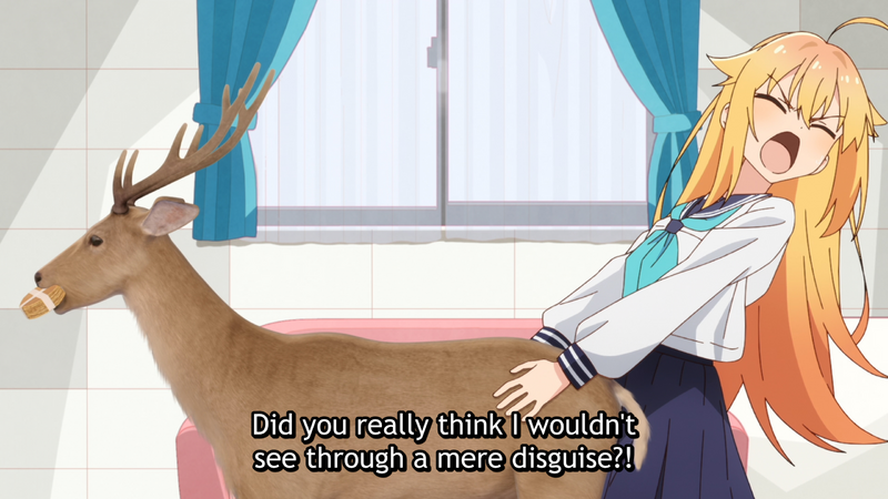 Archivo:TorakoKoshi perreo travieso.png