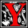 InicialY.svg