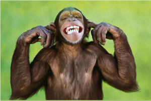 Mono de pruebas número 6 Se unió a Inciclopedia en 2010 Quién más podría ser el responsable de todas las extravagancias de Inciclopedia que nuestro querido Mono de pruebas número 6, que rescatamos de un circo y le enseñamos a escribir en el sitio, este simple mono aumenta la producción de artículos por 3. Lee la historia del Mono >