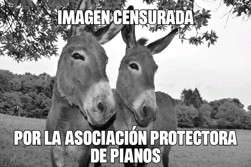 Archivo:10. perro andaluz burros.jpg