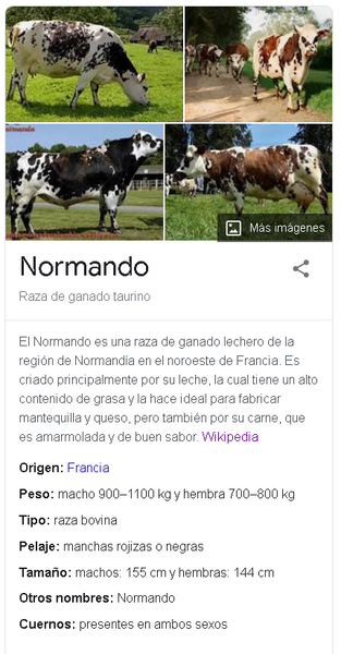 Archivo:Normandos vacas.png