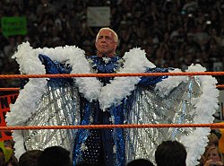Ricflairwm24.jpg