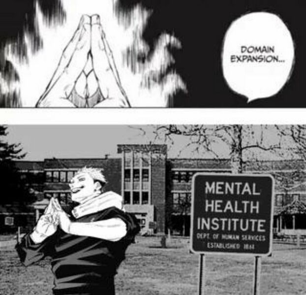 Archivo:Domain Expansión Therapy.jpeg