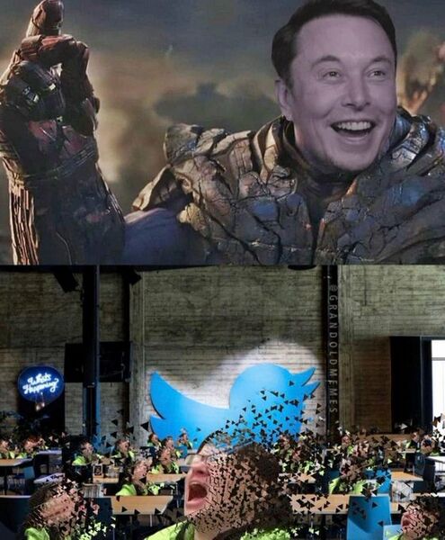 Archivo:Elon Musk en Twitter.jpeg