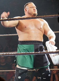 Samoa Joe 2017.jpg