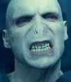 Lord Voldemort: Si es que yo me cago en todos los hijos de puta de Villena (últimas palabras de Voldemort antes de su muerte)