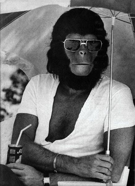 Archivo:Chimpancé escribiendo.jpg