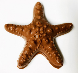 CHOCOLATESTARFISH.png