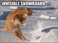 Invisible-snowboard-2.jpg