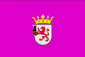 Bandera de la Provincia de León