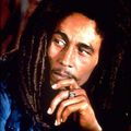 Bob Marley: Villena es el paraíso...