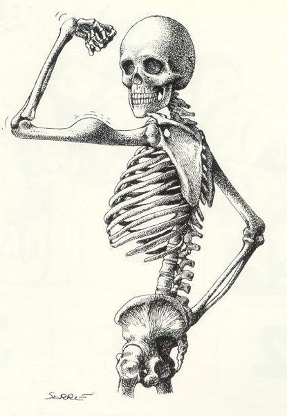 Archivo:Esqueleto fuerte.jpg