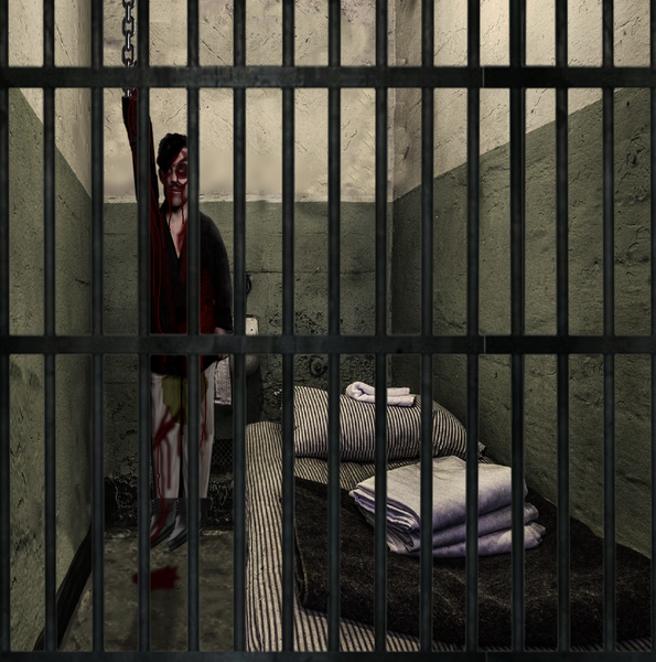 Archivo:Gavrilo Princip en Prisión.png