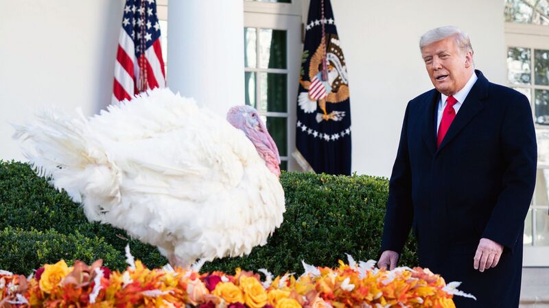 Archivo:Trump-pardons-Turkey-1-scaled.jpg