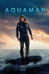 Aquaman 2 poster.jpeg