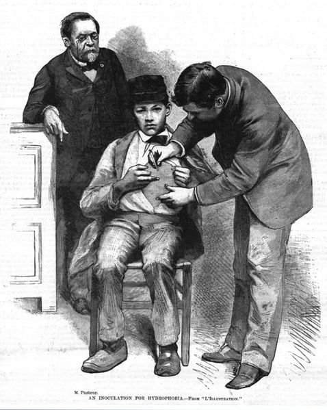 Archivo:Pasteur vacuna.jpg