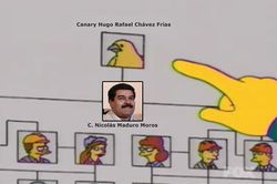 Canario Hugo Chávez.jpg