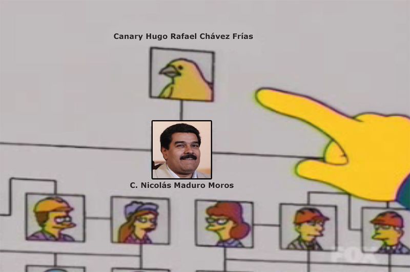 Archivo:Canario Hugo Chávez.jpg