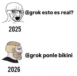 Grok real.jpg