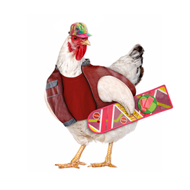 McFly-Gallina.png