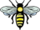Bee-icone.png