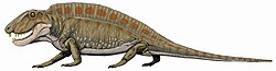 Sphenacodon, un sinápsido (parte reptil, parte mamífero, parte barco de vela) que tenía una cosa en la espalda para regular su temperatura o para recibir mejor el Wifi.