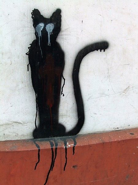 Archivo:Gato negro pared.jpg