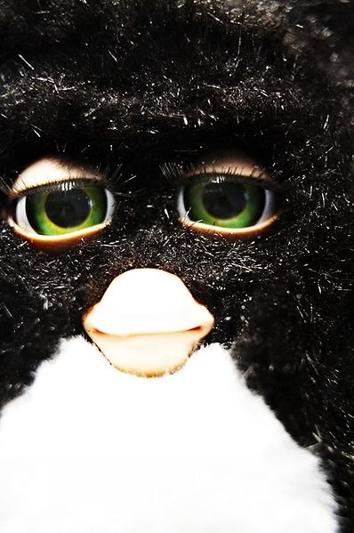Archivo:Furby mirandote.jpg