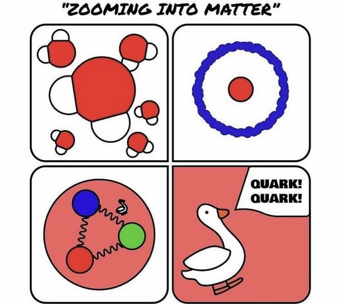 Archivo:Qwarks pato .jpg