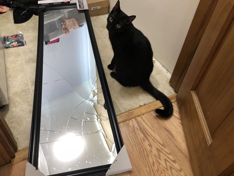 Archivo:Gato negro espejo roto.jpg