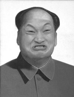 Wtf mao.jpg