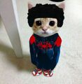 Meowles Meowrales, se da cuenta que aún tiene a uno de sus padres con vida