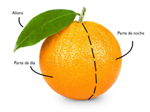 Naranjamundo.png