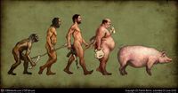 Evolucion cerdo.jpg