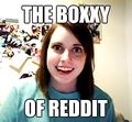 la Boxxy de Reddit