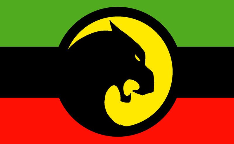 Archivo:Wakandan flag.jpg