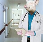 Doctorchancho3.jpg