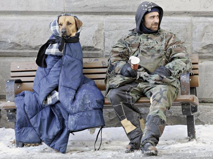 Soubor:Pes bezdomovec.png